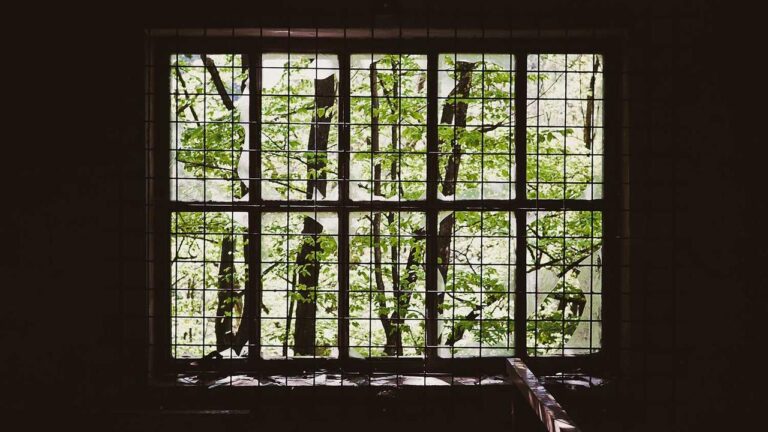 What Payment Methods Are Accepted On 11Xplay Bet?